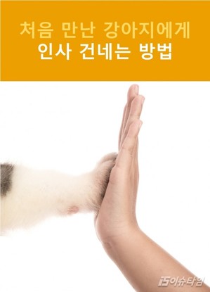 thumbimg