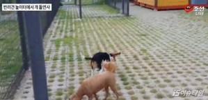 thumbimg