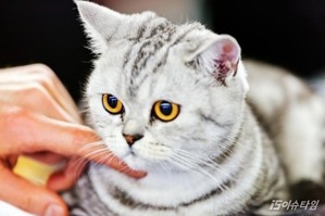 thumbimg