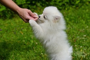thumbimg
