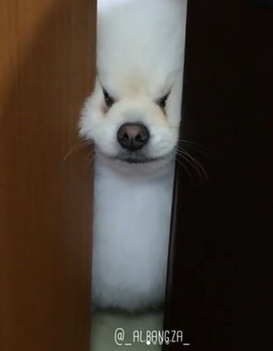 thumbimg