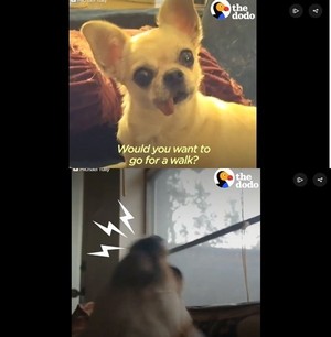 thumbimg