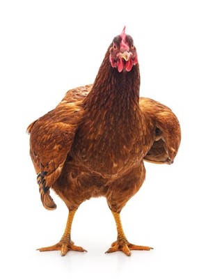 thumbimg