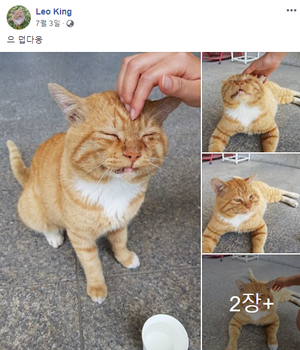 thumbimg