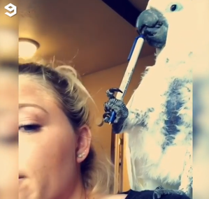 thumbimg