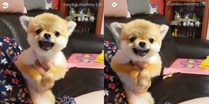 thumbimg