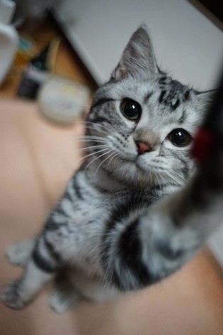 thumbimg