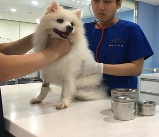 thumbimg
