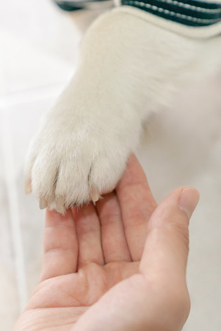 thumbimg