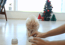 thumbimg