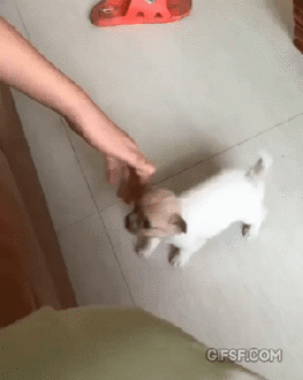 thumbimg