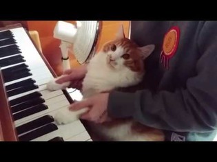 thumbimg