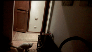 thumbimg