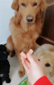 thumbimg