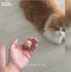 thumbimg