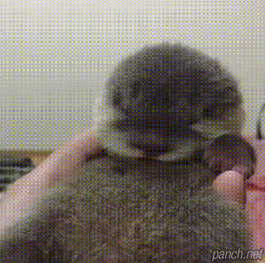 thumbimg