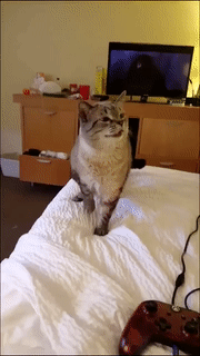 thumbimg